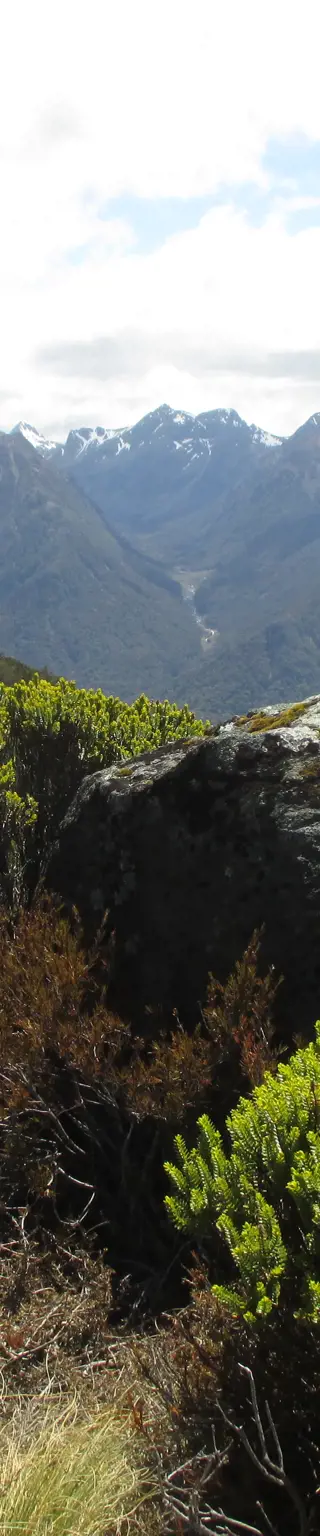Great Walks - Kepler Track
